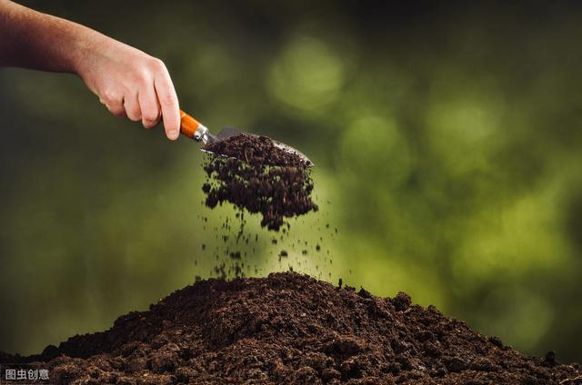 土壤消毒怎么做，这个方法真的简单又实用！